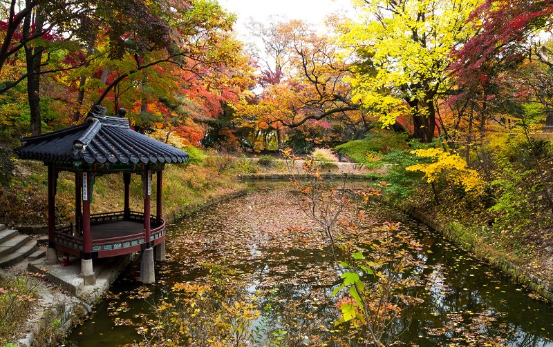 du lịch Hàn Quốc mùa thu