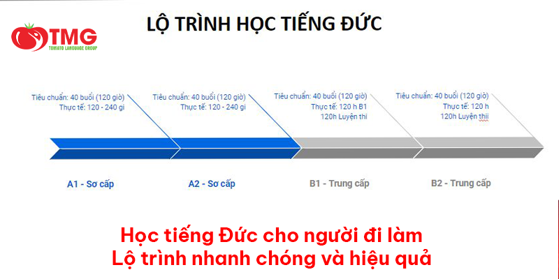 Học tiếng Đức cho người đi làm: Lộ trình nhanh chóng và hiệu quả