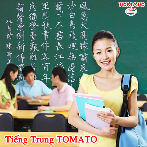 Lịch khai giảng-trung tâm Ngoại ngữ Tomato Hải Phòng