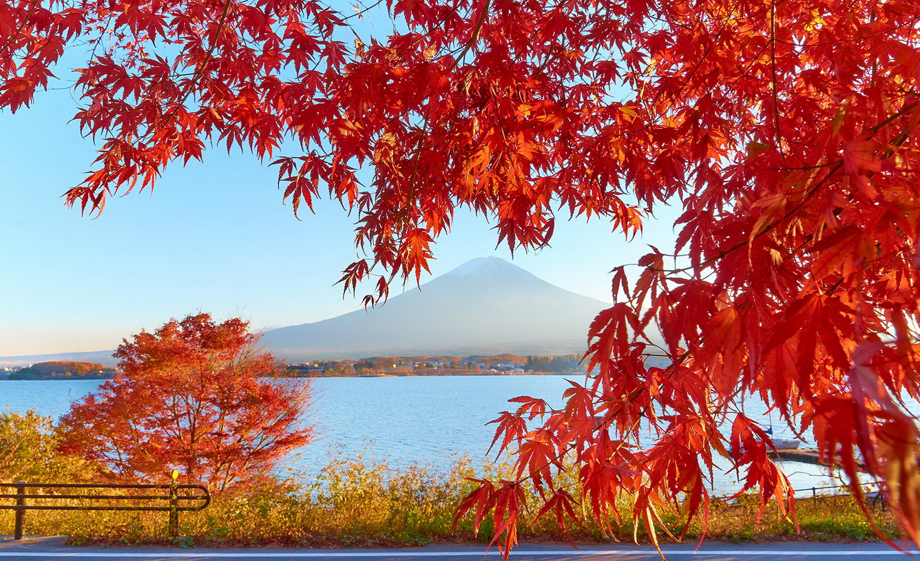 Địa điểm du lịch Nhật Bản nổi tiếng vào mùa thu