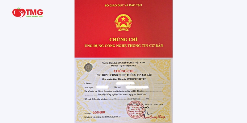 Download tài liệu ôn thi chứng chỉ tin học cơ bản đầy đủ nhất  - Ảnh 3