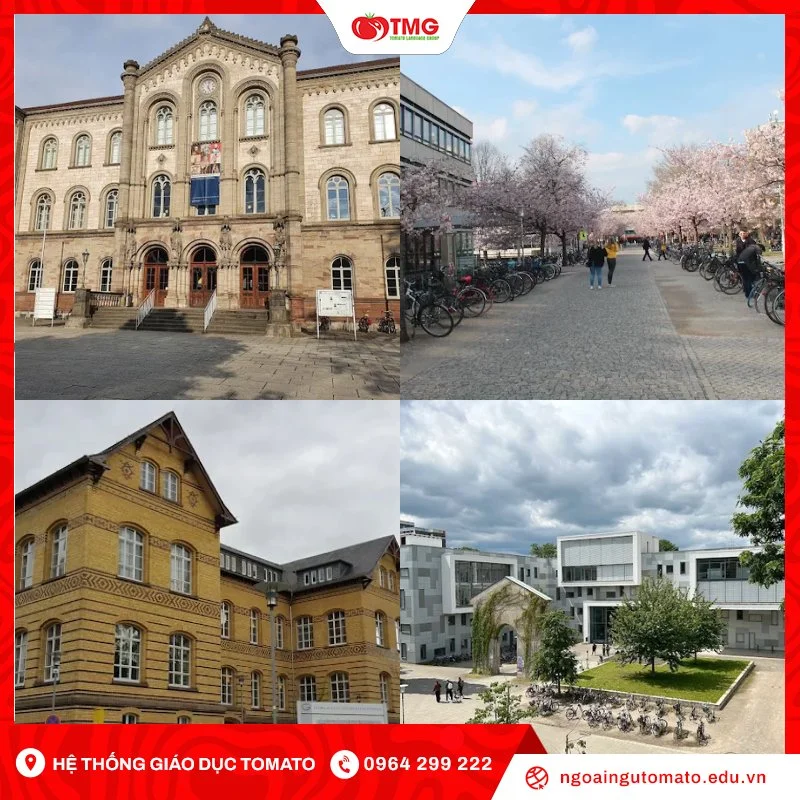Tổng quan về trường đại học Uni Göttingen