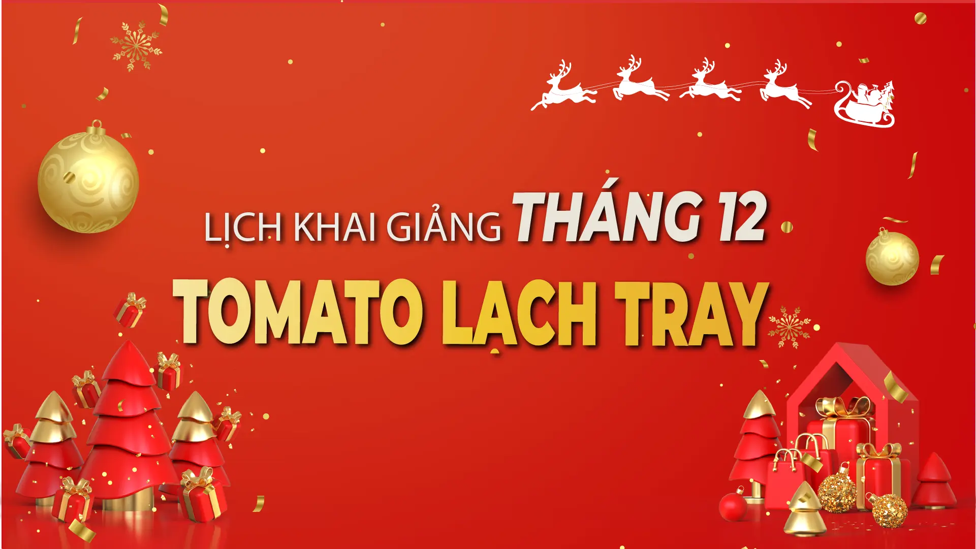 LỊCH KHAI GIẢNG THÁNG 12/2025 CỦA TOMATO CƠ SỞ LẠCH TRAY