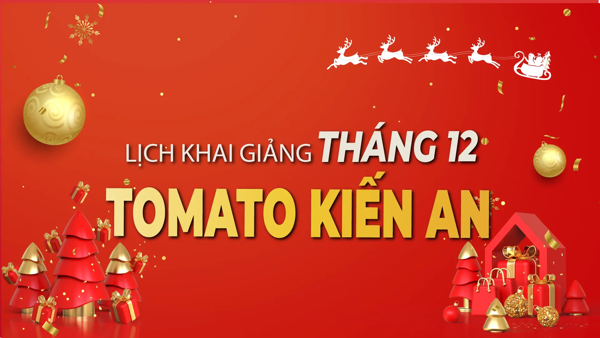 LỊCH KHAI GIẢNG THÁNG 12/2025 CỦA TOMATO CƠ SỞ KIẾN AN