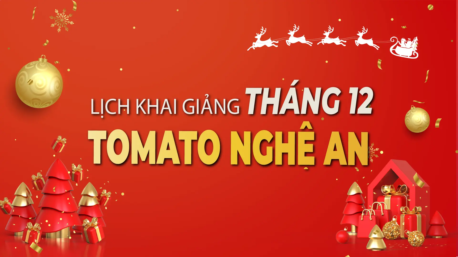 LỊCH KHAI GIẢNG THÁNG 12/2025 CỦA TOMATO CƠ SỞ NGHỆ AN