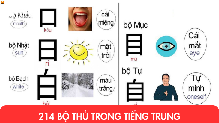 214 bộ thủ trong tiếng Trung