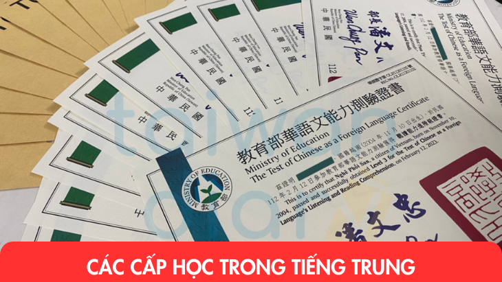 Các cấp học trong tiếng Trung  chủ đề Trường học