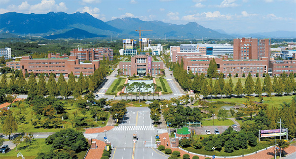TOP 10 trường đại học hàng đầu Hàn Quốc - Ảnh 11