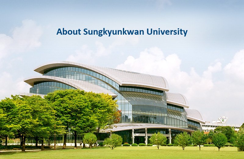 TOP 10 trường đại học hàng đầu Hàn Quốc - Ảnh 6