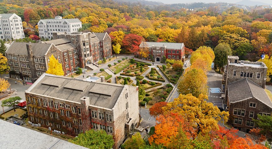 TOP 10 trường đại học hàng đầu Hàn Quốc - Ảnh 7