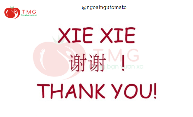 Cách nói cảm ơn trong tiếng Trung