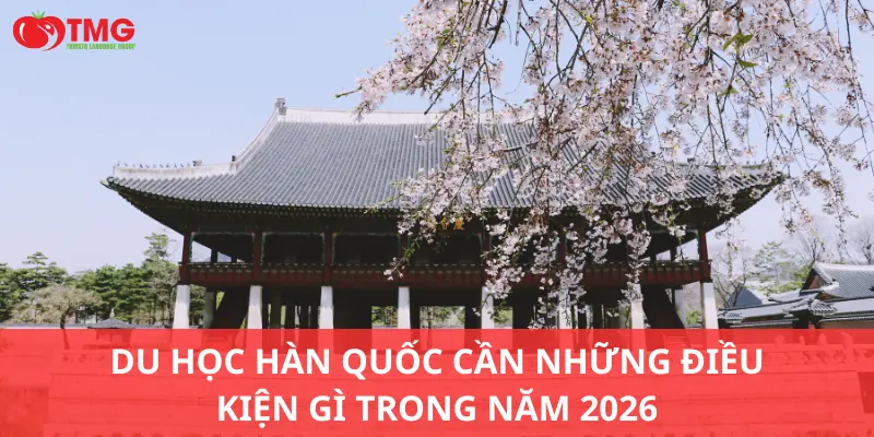 Du học Hàn Quốc cần những điều kiện gì trong năm 2026