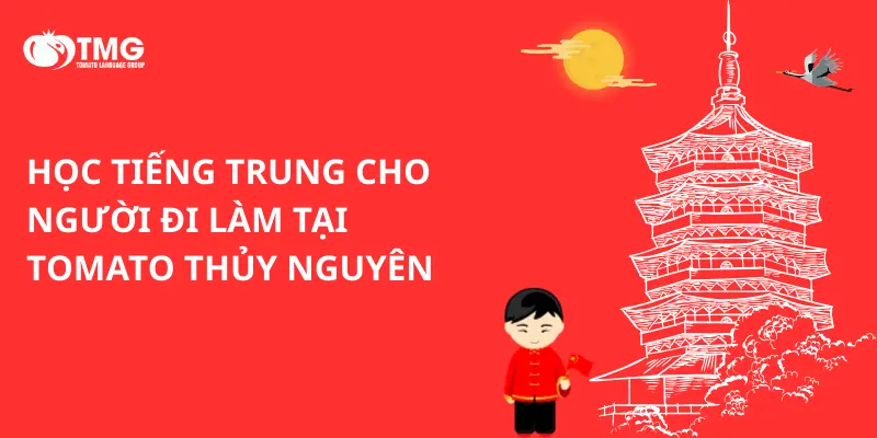 Học tiếng Trung cho người đi làm tại Tomato Thủy Nguyên