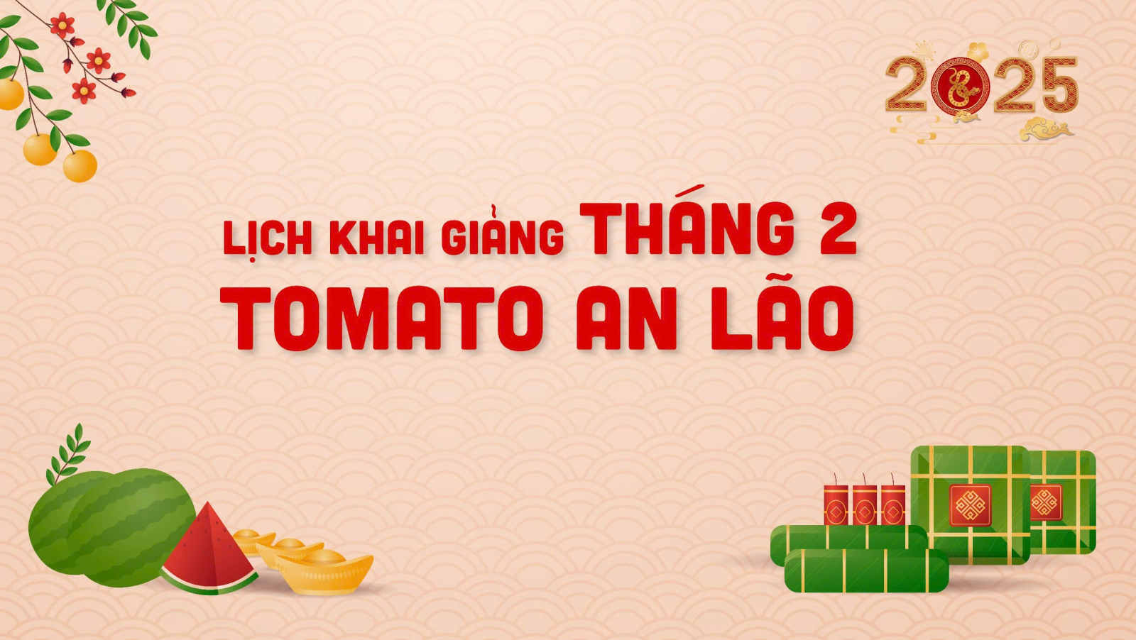 LỊCH KHAI GIẢNG THÁNG 2/2025 CỦA TOMATO CƠ SỞ AN LÃO