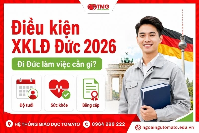 Điều kiện xuất khẩu lao động Đức 2026: Đi Đức làm việc cần gì?
