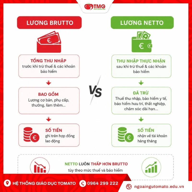 Lương brutto và netto ở Đức khác nhau như thế nào?