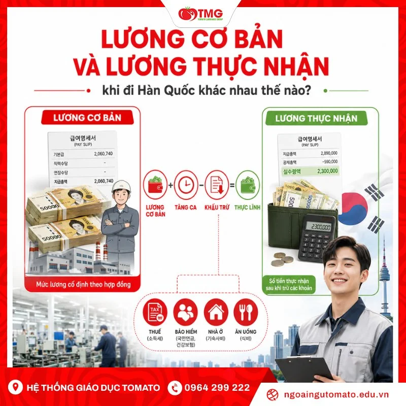 Lương cơ bản và lương thực nhận khi đi Hàn Quốc khác nhau thế nào?