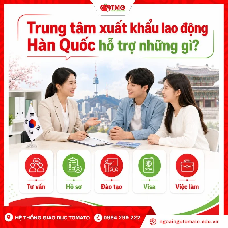 Trung tâm xuất khẩu lao động Hàn Quốc hỗ trợ những gì?