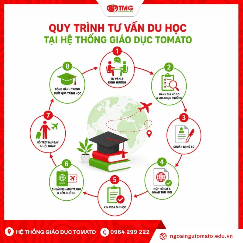 Quy trình tư vấn du học tại Hệ thống giáo dục Tomato