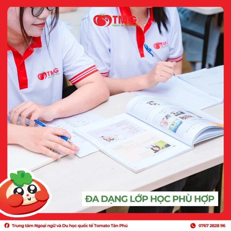Các chương trình đào tạo tại trung tâm ngoại ngữ Tomato TPHCM