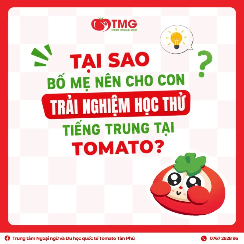 Vì sao nên chọn khóa học ngoại ngữ tại Tomato Tân Phú?